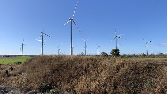 Windpark Gols | WEB Windenergie